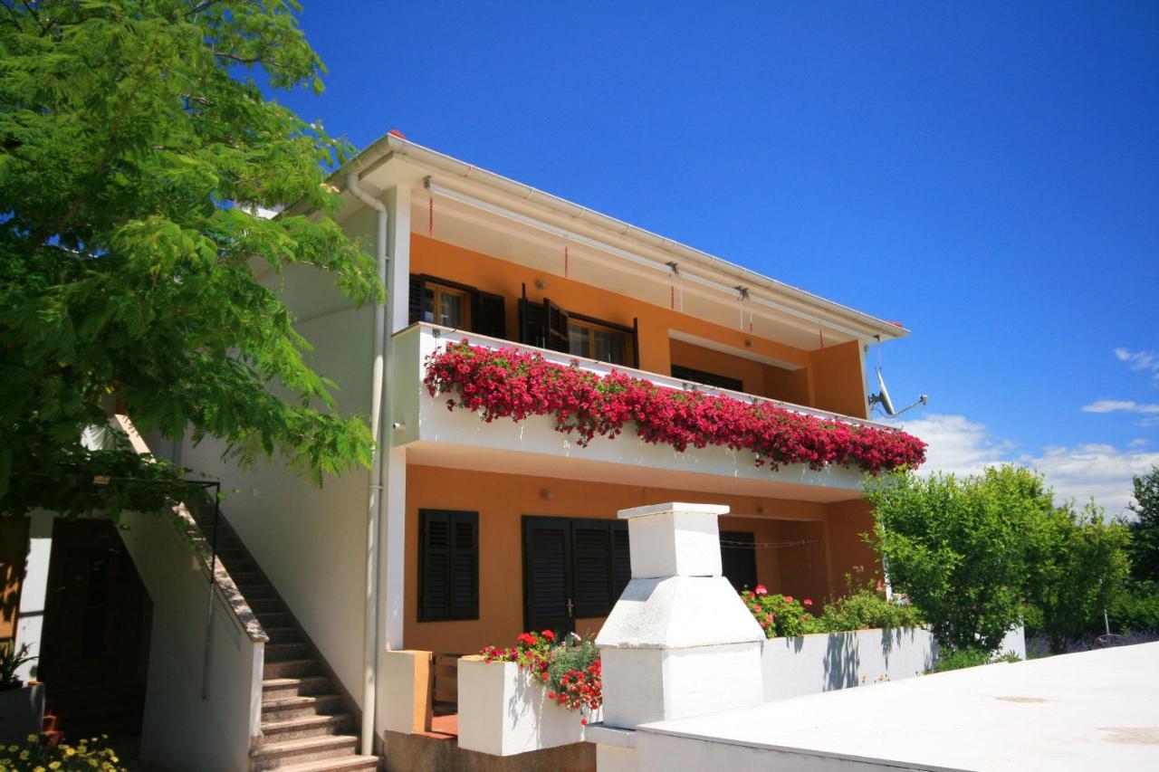 Surfinia Appartement
